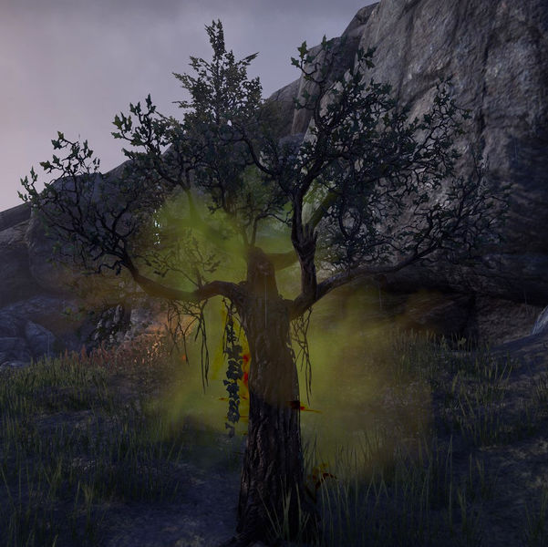 Datei:ESO Merkwürdiger Sprössling.jpg