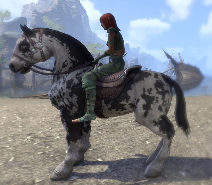 Datei:ESO Gescheckter Destrier.jpg