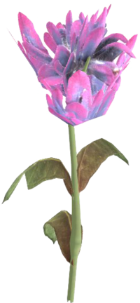 SR Violette Bergblume.png