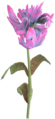 Eine violette Bergblume