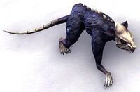 ESO Dohlendaedratte.jpg