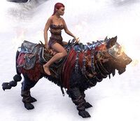 ESO Drachenfeuerwolf Komplettausstattung.jpg