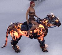 ESO Glutflammensenche Komplettausstattung.jpg