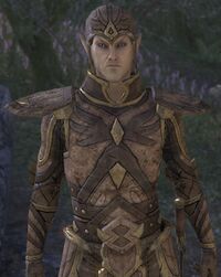 ESO Königlicher Gardist 1.jpg