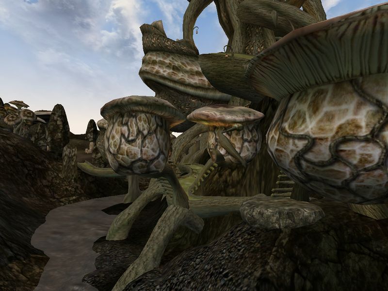 Datei:Tel Branora Mittelschicht.jpg