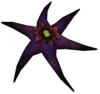OBL Asterblüte.png