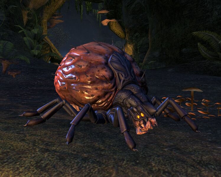 Datei:ESO Reifzecke.jpg