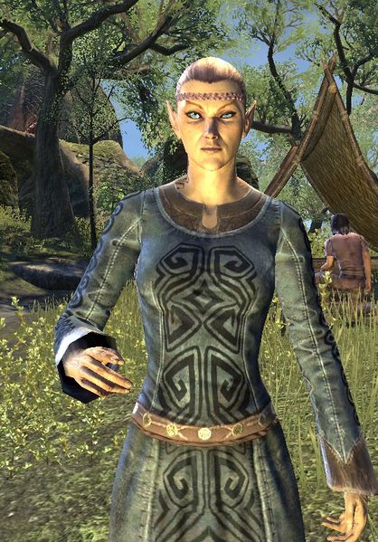 Datei:ESO Teldrelwe.jpg