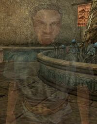 MW Cassius Olcinius unsichtbar.jpg