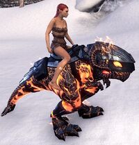 ESO Glutflammenguar Komplettausstattung.jpg