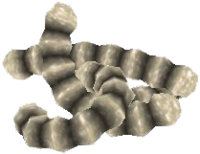 OBL Weiße Samenkapsel.png