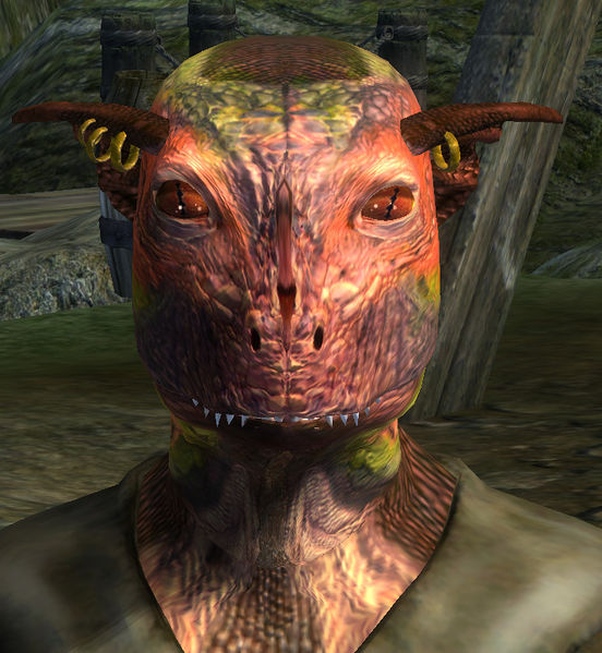 Datei:OBL Stadt-Schwimmer.jpg