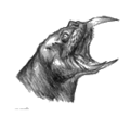 Zeichnung eines Horkerkopfes