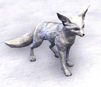 ESO Arktischer Fennek.jpg