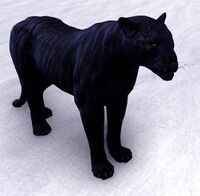 ESO Gestreifter Senchepanther.jpg