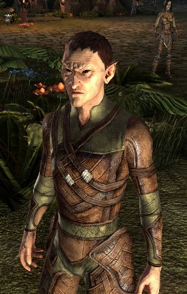 Datei:ESO Melluin.jpg