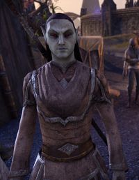 ESO Beron Telvanni.jpg