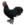ESO Icon pet 229 blackrooster.png