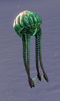 ESO Moosiges Netchkalb.jpg