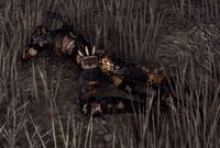 ESO Steht-Im-Stillen-Wasser.jpg