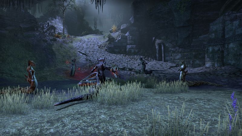 Datei:ESO Arx Corinium - versunkene Mauern.jpg