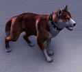 ESO Kupfernacken-Bärenhund.jpg
