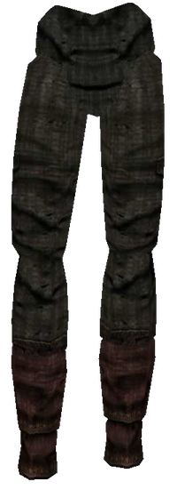 BM Gewöhnliche Hose4.png