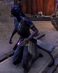 ESO Krumme Katze.jpg