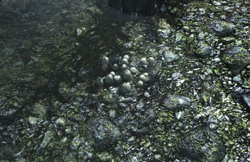 Datei:Nest mit Schlachterfischeiern.jpg