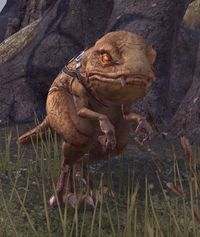 ESO Doddie.jpg