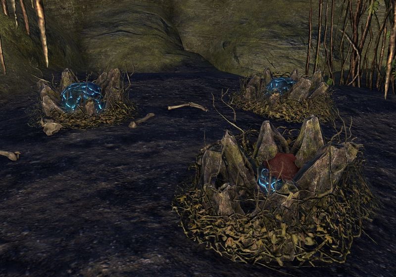 Datei:ESO Pilzhöhle - Nester.jpg