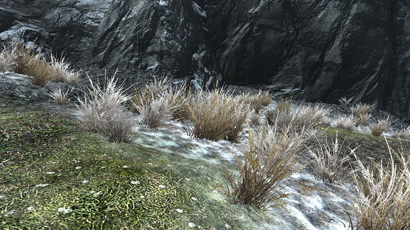 Datei:Gras braun Himmelsrand.jpg