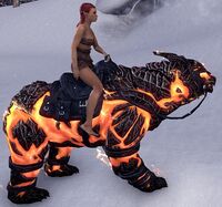 ESO Glutflammenbär Komplettausstattung.jpg