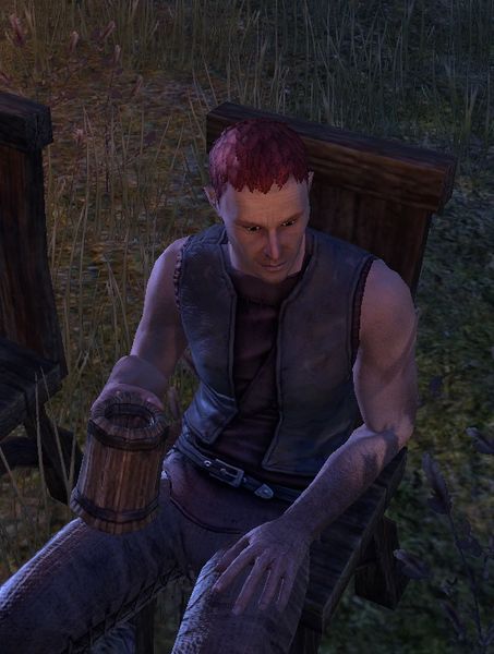 Datei:ESO Vilhim Magaudin.jpg