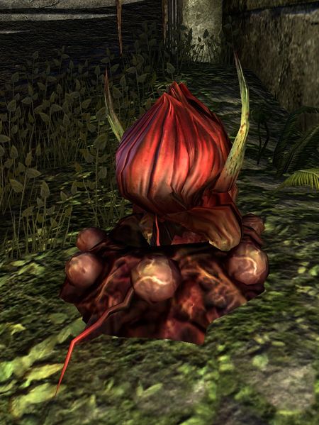 Datei:ESO Würger - getarnt.jpg