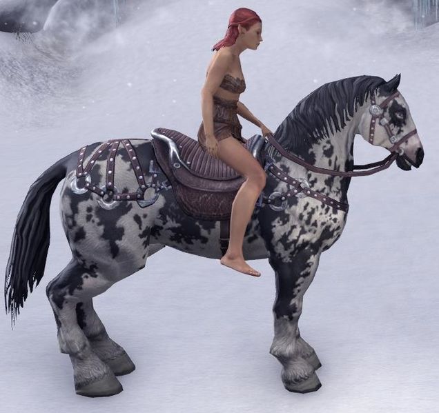 Datei:ESO Gescheckter Destrier Tempo.jpg